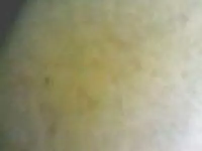 Szemtelen tini szívja magyarul beszélő sex szomszédja farkát