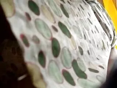 Ginebra amatőr sex video Bellucci megfelelően szar az asztalra